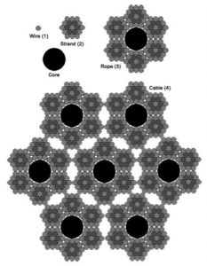 HumanFractals2